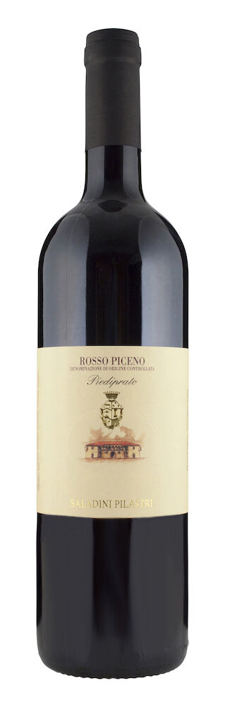 Saladini Pilastri Rosso Piceno Vigna Piediprato 2019